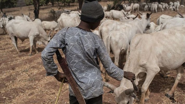 Fulani herdsmen