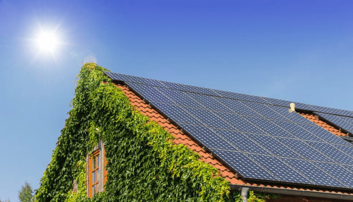 How women are reshaping Nigeria’s off-grid energy landscape
