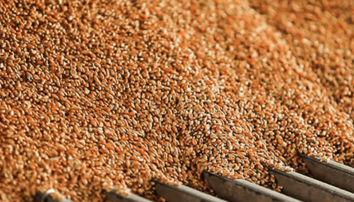 Northern Nigeria flour mills sees first nine-month profit in five years