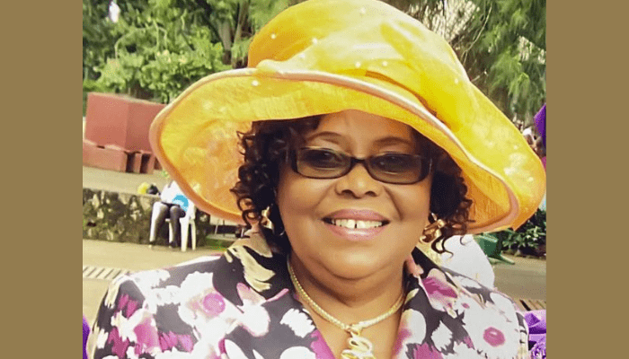 Writer Chimamanda Adichie loses mother