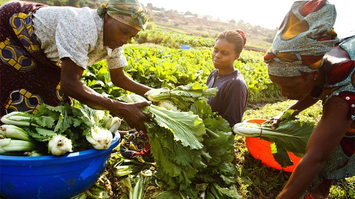 women-farmers