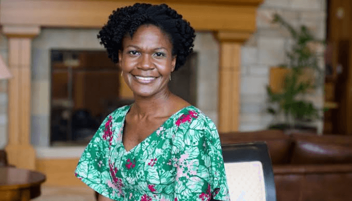 Nonprofits should develop business models in selling impact – Rewane