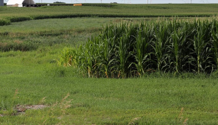agricultural sector