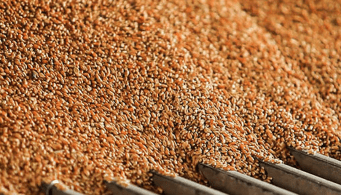 Northern Nigeria Flour Mills proposes 50kobo interim dividend amid 21% profit increase