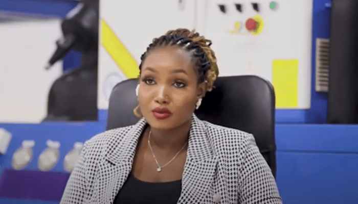 BusinessDay Diary (EP 11: Inside a Lagos factory changing the game in ice cubes production