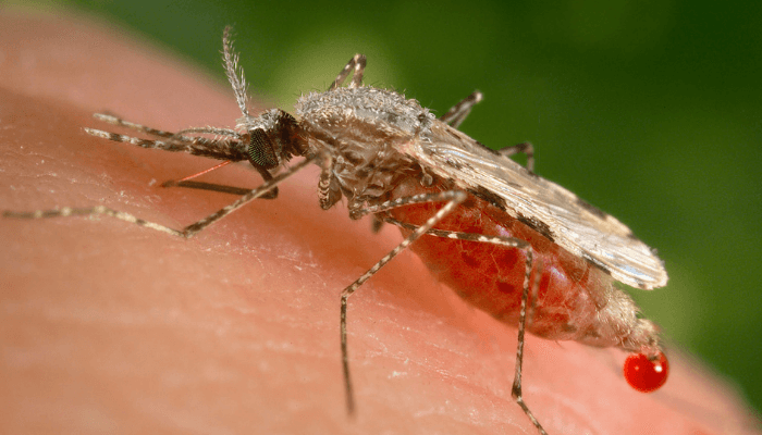 CAMA, Access bank launch End Malaria Project in Lagos, Ebonyi, Kaduna