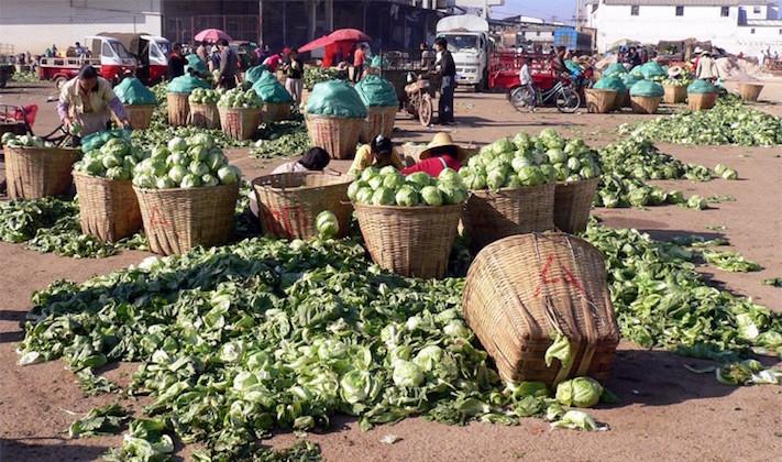 post-harvest losses