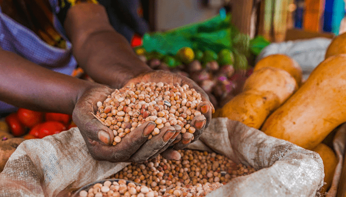 Can CBN’s TIES boost food production?