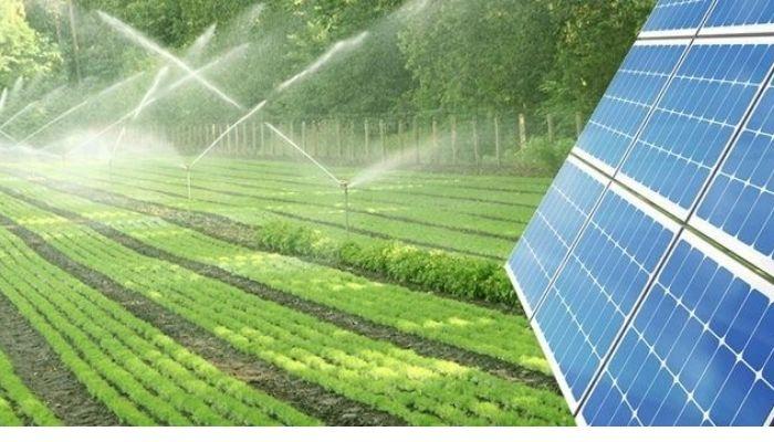 Investors see impact opportunities in Nigeria’s agribusiness, power sectors