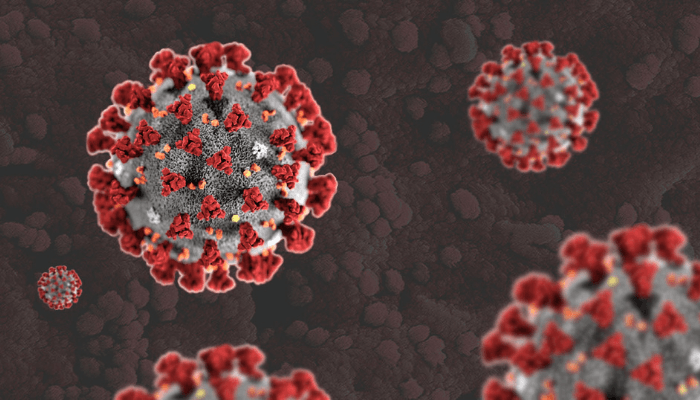 Nigeria’s Covid-19 cases spike again with 2,123 new infections