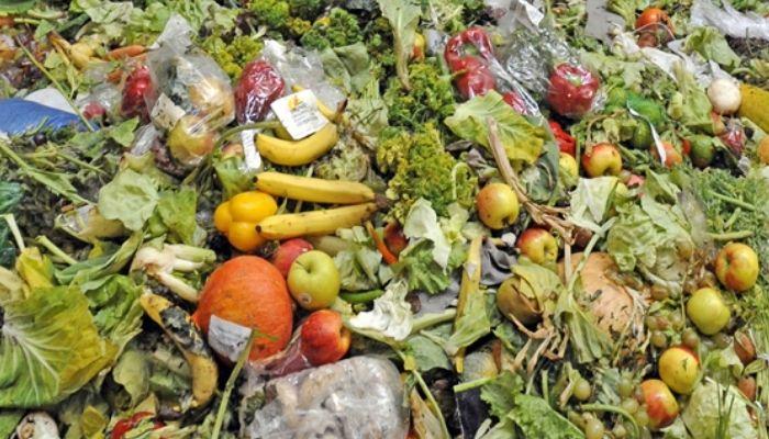 Wrong alarms about Nigeria’s food insecurity