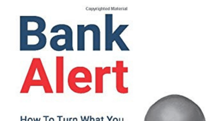 Make money by teaching online-A review of Emeka Nobis’s Bank Alert
