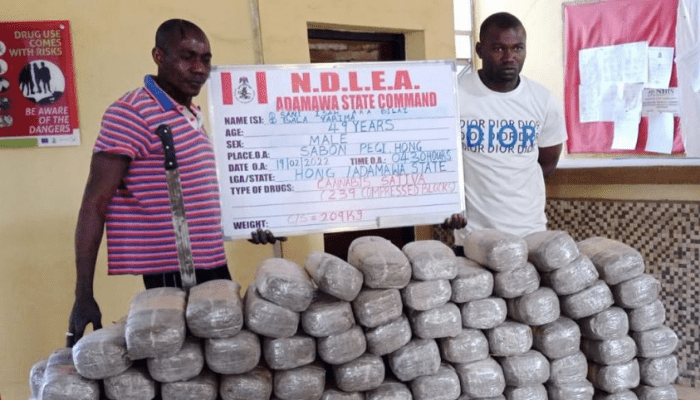 NDLEA intercepts counterfeit $4.7m cash in Abuja