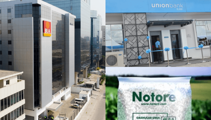 BUA Foods, Notore, Union Bank, 18 others locked with controlling investors