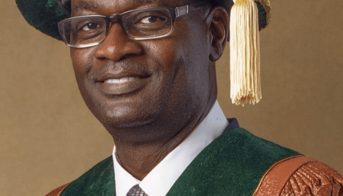 Adesola Ajayi appointed VC for First Technical University