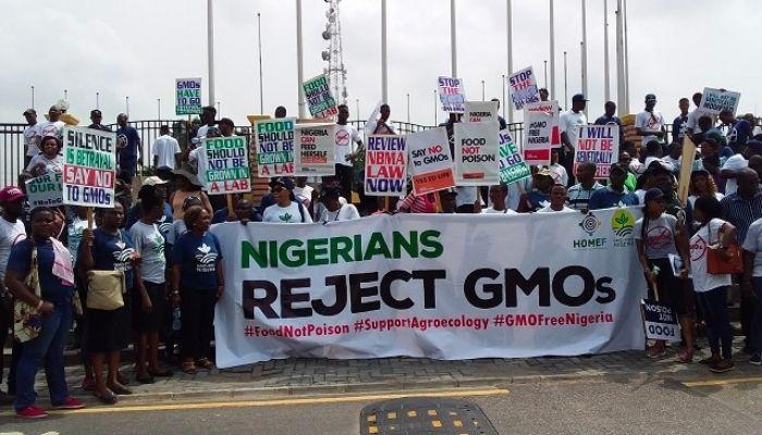 Nigeria’s CSO Industrial Complex: A solution in search of a problem