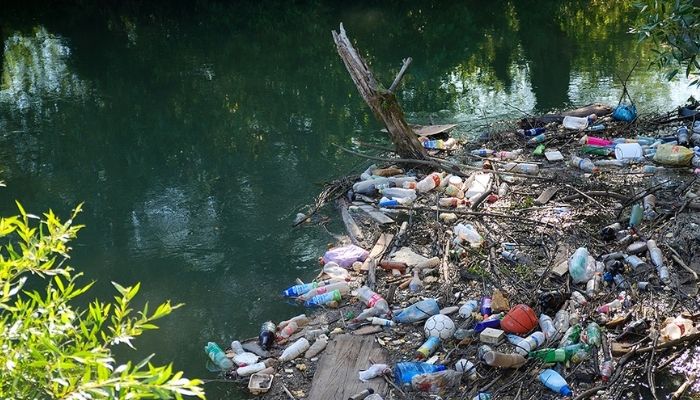 NGO urges concerted efforts to check dumping of plastic wastes in rivers