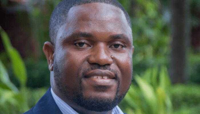 ‘How tree planting could become Africa’s next tourism cash-cow’