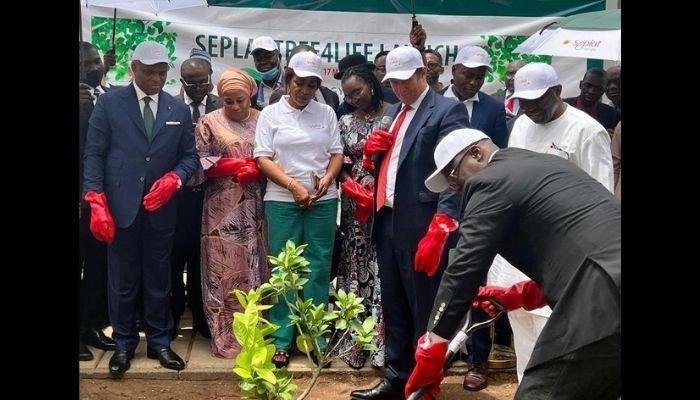 Climate change: Seplat Energy to plant five million trees
