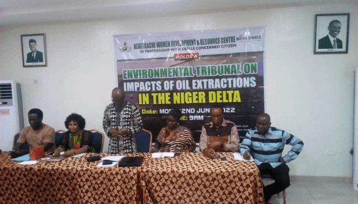 Why oil operators in Niger Delta are guilty of human right abuses, by Peterside