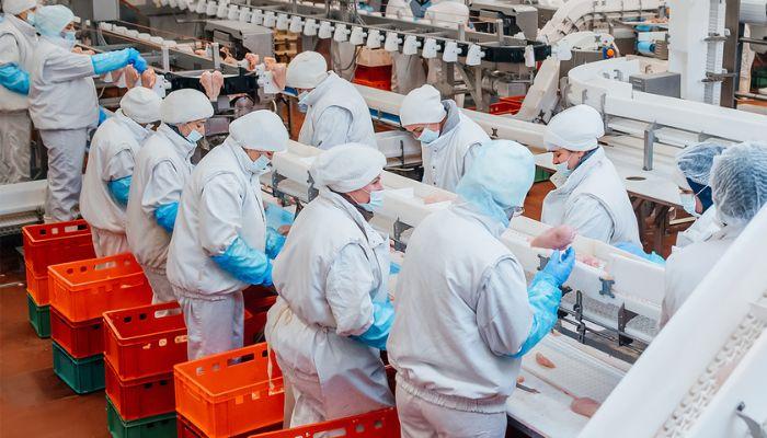 Importance of food processing and preservation