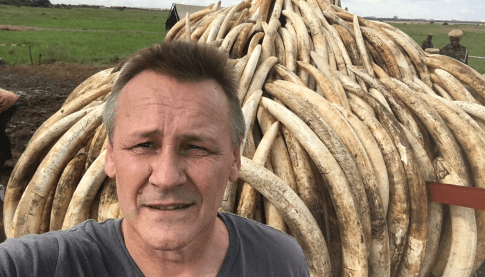 WildAid Co-founder Peter Knights Starts New African Wildlife Charity