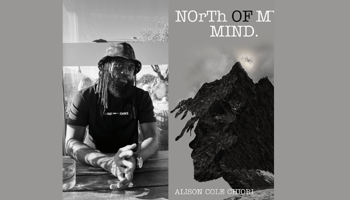 Alison Cole’s book mirrors existential crisis, religious transition, others