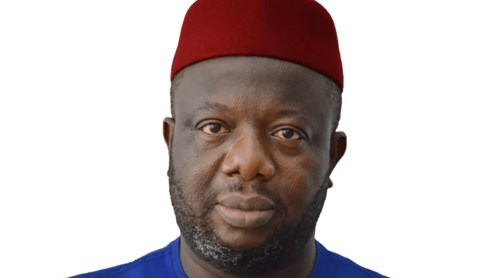 Cheap funding, improved seedlings can unlock Nigeria’s palm oil potentials – Onyiuke