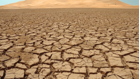Climate Action Africa urges for climate-smart initiatives