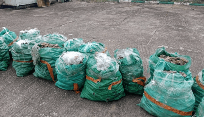 Customs intercepts N1.23bn dried shark fins, donkey genitals in Lagos