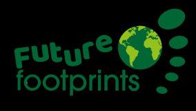 Exploring ‘the future’: Crafting footprints for generations ahead