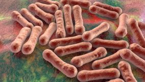 Diphtheria outbreak: Kings College index case dies, emergency measures activated