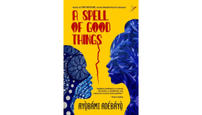 When a little bird tries to fly before it has grown wings -A review of Ayomide Adebayo’s A Spell of Good Things