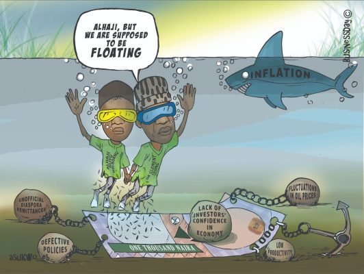 Naira hits record low of N848/$ on official market