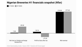 Nigerian Breweries’ H1 performance in eight metrics