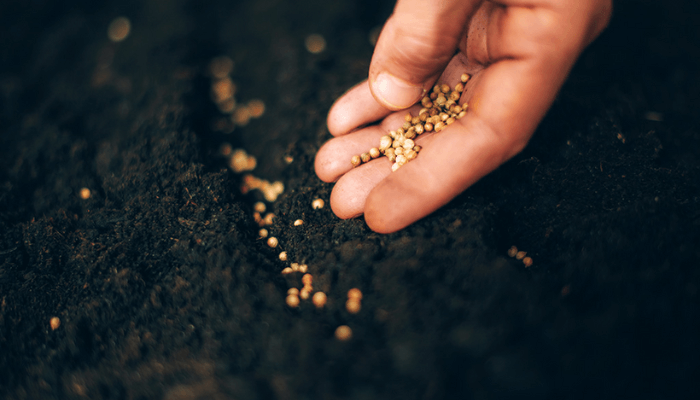 Where you sow may not be where you reap