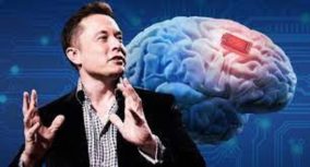 elon musk (1)