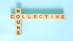 Collective nouns in English