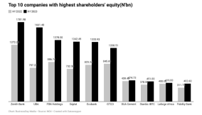 Here are 10 companies with highest shareholders’ equity in H1