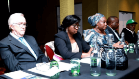 NDDIS marks 10th anniversary with special summit in London
