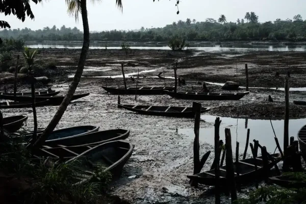 Niger-Delta