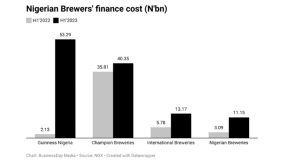 Brewers face tough times as FX pain doubles finance costs