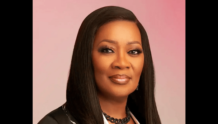 Combatting gender-based violence will help Nigeria address 21st century development challenges – Seinye Lulu-Briggs