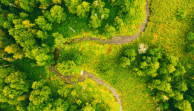 Advocates for sustainability urge for government, citizens’ greater involvement