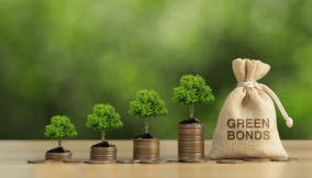 Nigeria targets $1bn from domestic green bond issuance