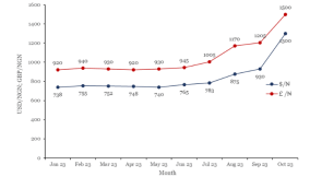 Tracing the Naira’s performance in the currency market and its impact in 2023