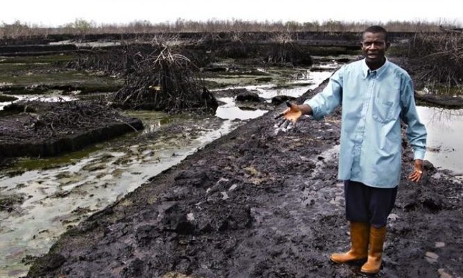 A call to accountability in environmental negligence