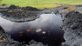 A call to accountability in environmental negligence