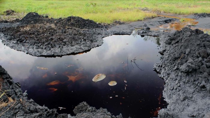 A call to accountability in environmental negligence