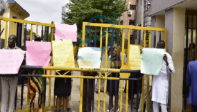 protest (1)